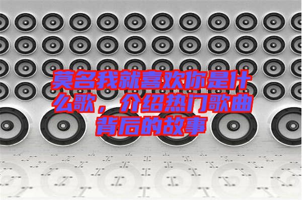 莫名我就喜歡你是什么歌，介紹熱門歌曲背后的故事
