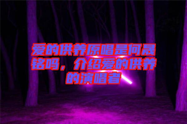 愛的供養(yǎng)原唱是何晟銘嗎，介紹愛的供養(yǎng)的演唱者