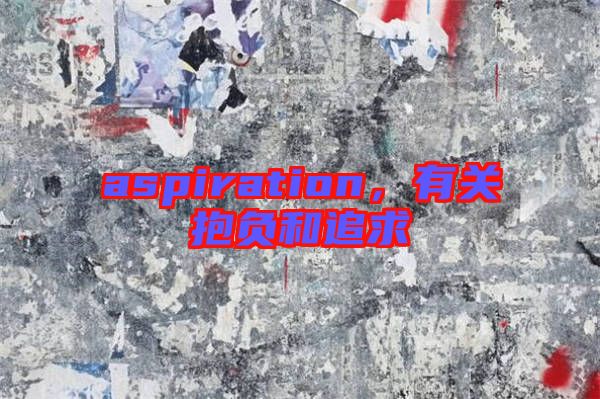 aspiration，有關(guān)抱負和追求