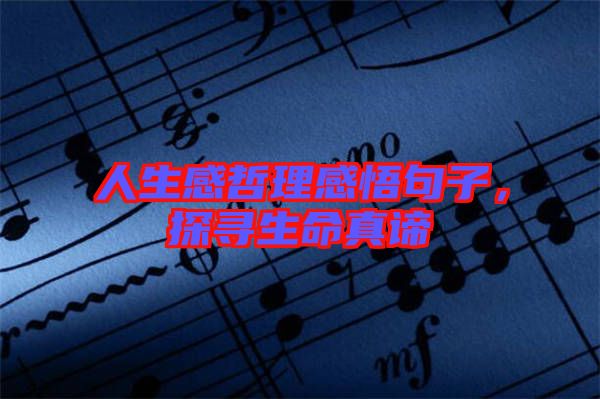 人生感哲理感悟句子，探尋生命真諦
