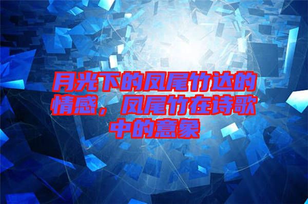 月光下的鳳尾竹達(dá)的情感，鳳尾竹在詩歌中的意象