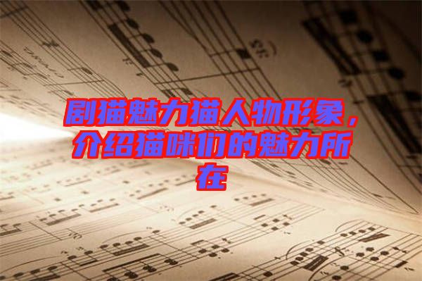 劇貓魅力貓人物形象，介紹貓咪們的魅力所在