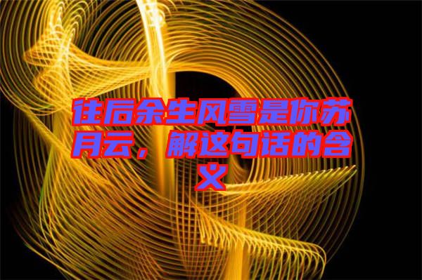 往后余生風雪是你蘇月云，解這句話的含義