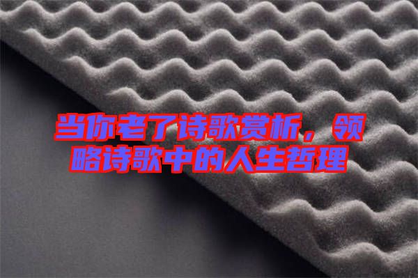 當(dāng)你老了詩歌賞析，領(lǐng)略詩歌中的人生哲理