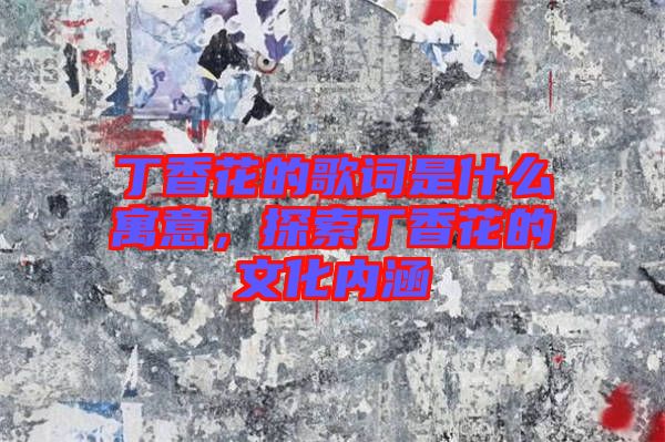 丁香花的歌詞是什么寓意，探索丁香花的文化內涵