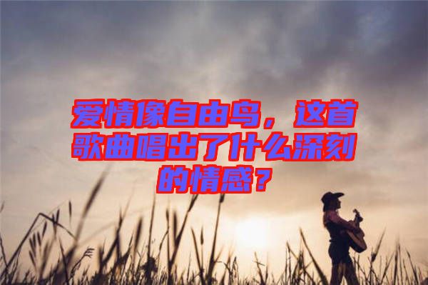 愛(ài)情像自由鳥(niǎo)，這首歌曲唱出了什么深刻的情感？
