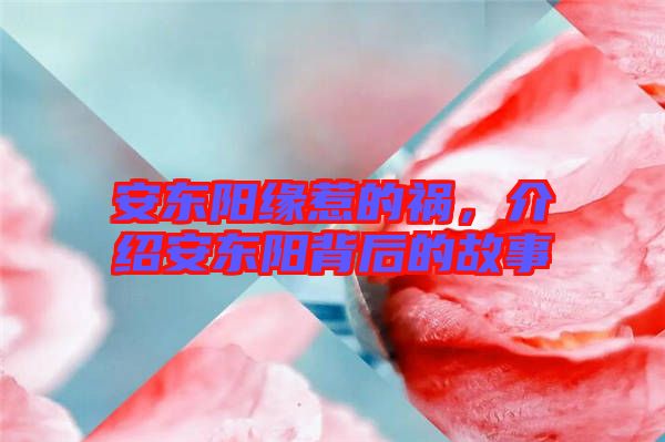 安東陽緣惹的禍，介紹安東陽背后的故事