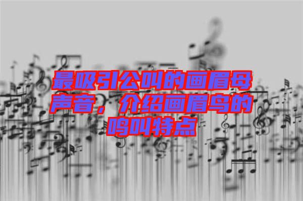 最吸引公叫的畫眉母聲音，介紹畫眉鳥的鳴叫特點(diǎn)