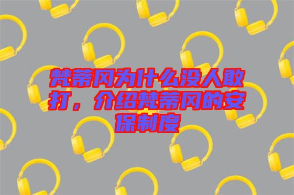 梵蒂岡為什么沒人敢打，介紹梵蒂岡的安保制度