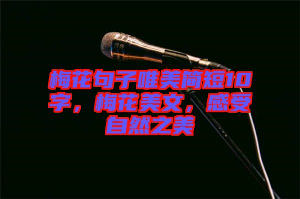梅花句子唯美簡短10字，梅花美文，感受自然之美