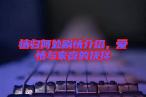 情歸何處劇情介紹，愛(ài)情與家庭的抉擇