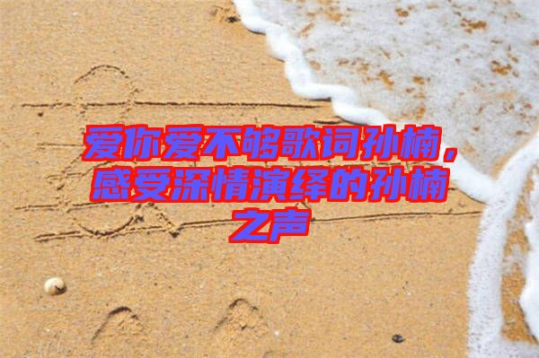 愛你愛不夠歌詞孫楠，感受深情演繹的孫楠之聲
