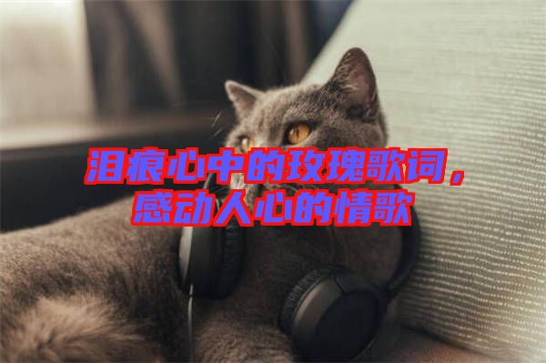 淚痕心中的玫瑰歌詞，感動(dòng)人心的情歌