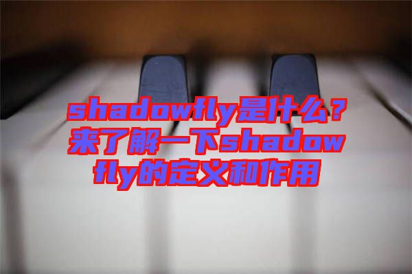 shadowfly是什么？來了解一下shadowfly的定義和作用