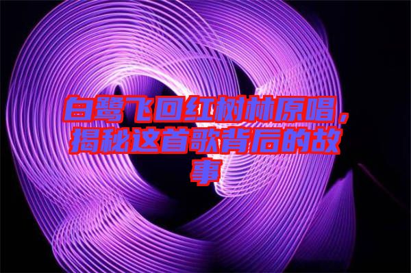 白鷺飛回紅樹林原唱，揭秘這首歌背后的故事