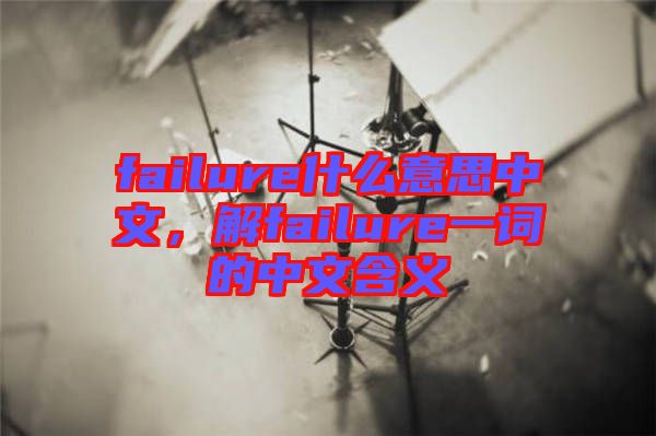 failure什么意思中文，解failure一詞的中文含義