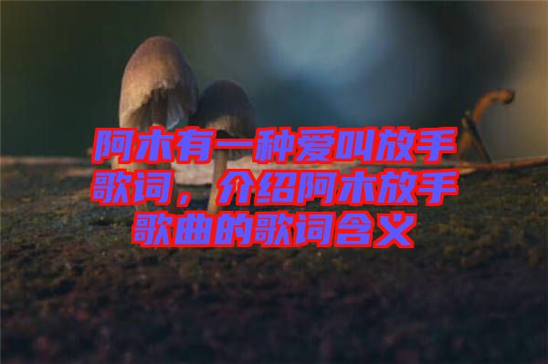 阿木有一種愛叫放手歌詞，介紹阿木放手歌曲的歌詞含義
