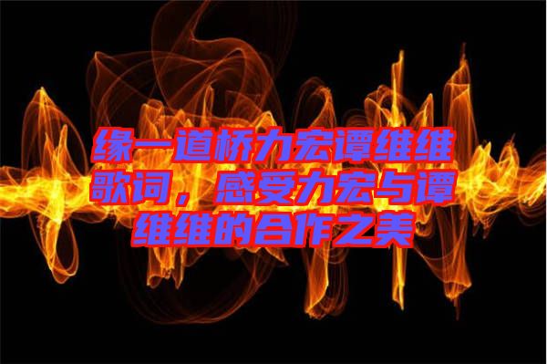 緣一道橋力宏譚維維歌詞，感受力宏與譚維維的合作之美