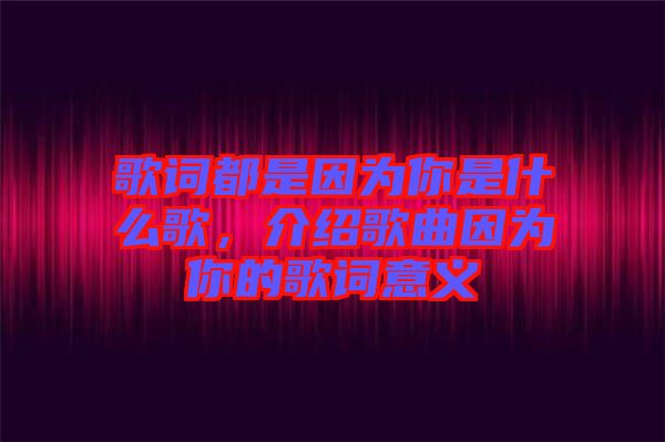 歌詞都是因為你是什么歌，介紹歌曲因為你的歌詞意義