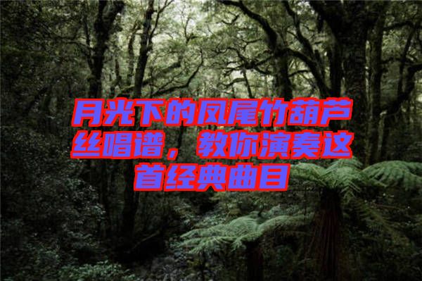 月光下的鳳尾竹葫蘆絲唱譜，教你演奏這首經(jīng)典曲目