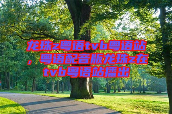 龍珠z粵語tvb粵語站，粵語配音版龍珠z在tvb粵語站播出