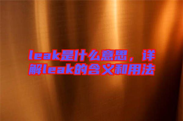 leak是什么意思，詳解leak的含義和用法