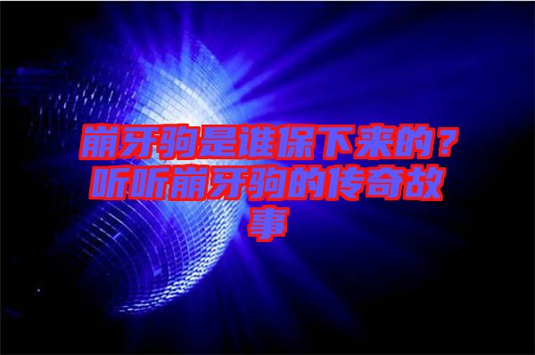 崩牙駒是誰保下來的？聽聽崩牙駒的傳奇故事