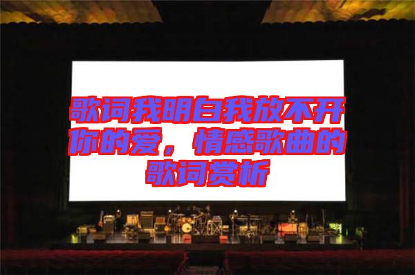 歌詞我明白我放不開(kāi)你的愛(ài)，情感歌曲的歌詞賞析