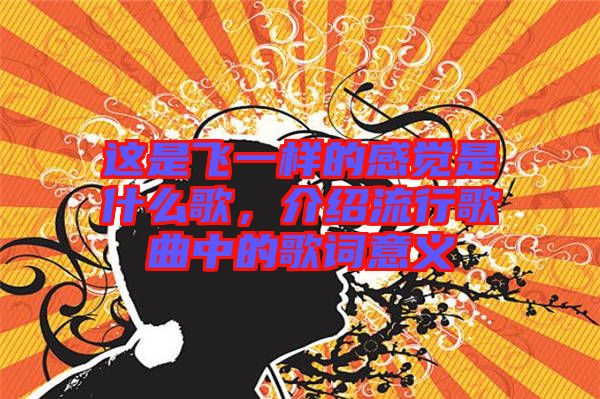 這是飛一樣的感覺(jué)是什么歌，介紹流行歌曲中的歌詞意義