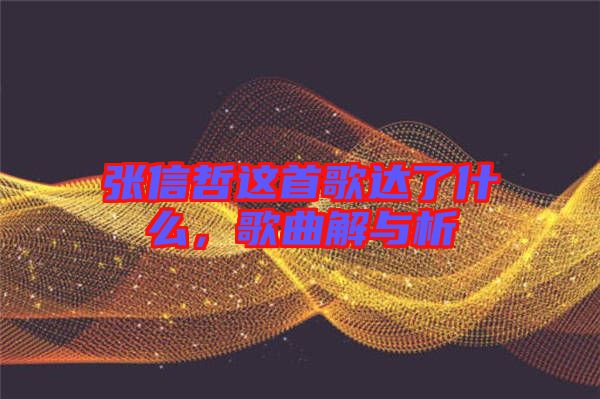 張信哲這首歌達了什么，歌曲解與析