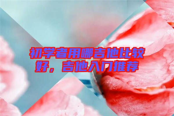 初學(xué)者用哪吉他比較好，吉他入門推薦