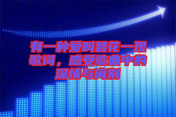 有一種愛(ài)叫曇花一現(xiàn)歌詞，感受歌曲中的深情與離別