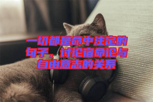 一切都是命中注定的句子，討論宿命論與自由意志的關系