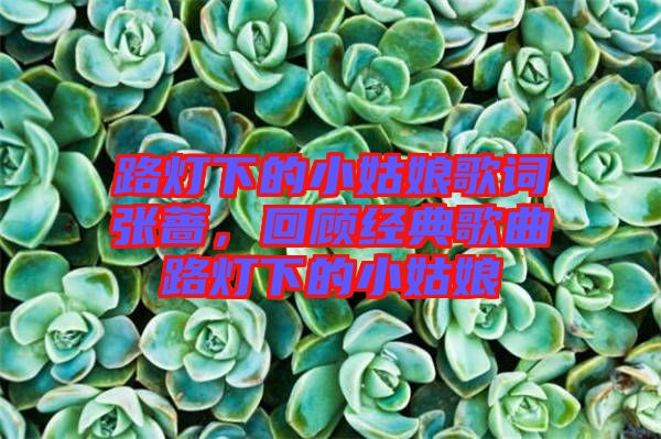 路燈下的小姑娘歌詞張薔，回顧經(jīng)典歌曲路燈下的小姑娘