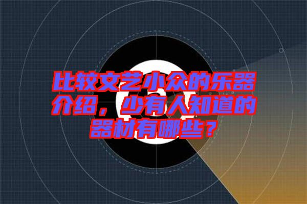 比較文藝小眾的樂器介紹，少有人知道的器材有哪些？