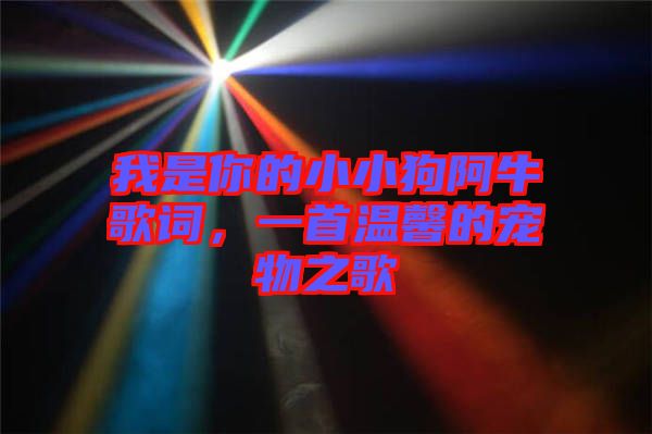 我是你的小小狗阿牛歌詞，一首溫馨的寵物之歌