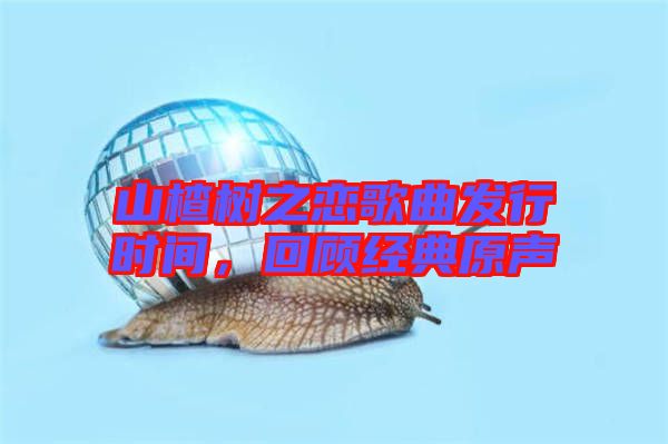 山楂樹之戀歌曲發(fā)行時間，回顧經(jīng)典原聲