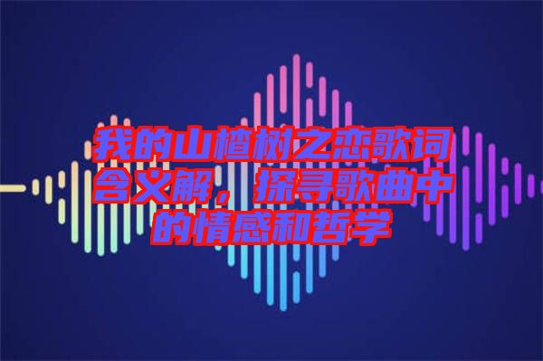我的山楂樹之戀歌詞含義解，探尋歌曲中的情感和哲學