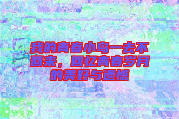 我的青春小鳥一去不回來，回憶青春歲月的美好與遺憾