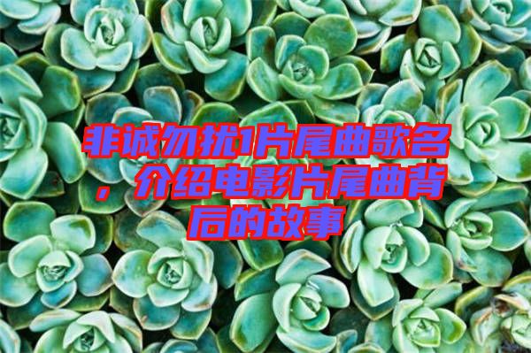 非誠勿擾1片尾曲歌名，介紹電影片尾曲背后的故事