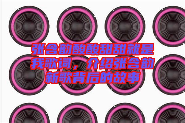 張含韻酸酸甜甜就是我歌詞，介紹張含韻新歌背后的故事