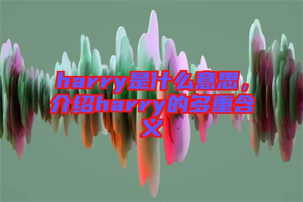 harry是什么意思，介紹harry的多重含義