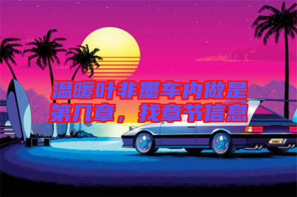 溫暖葉非墨車內(nèi)做是第幾章，找章節(jié)信息