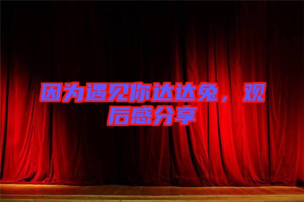 因?yàn)橛鲆娔氵_(dá)達(dá)兔，觀后感分享