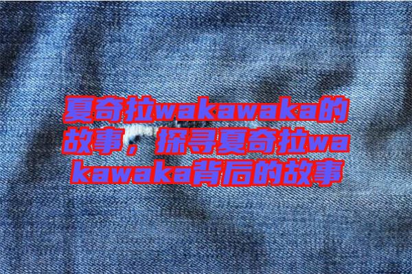 夏奇拉wakawaka的故事，探尋夏奇拉wakawaka背后的故事