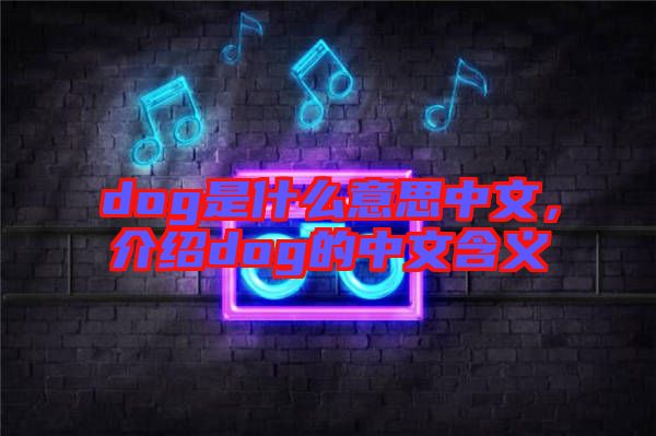 dog是什么意思中文，介紹dog的中文含義