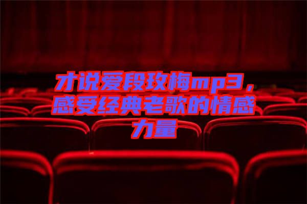 才說(shuō)愛(ài)段玫梅mp3，感受經(jīng)典老歌的情感力量