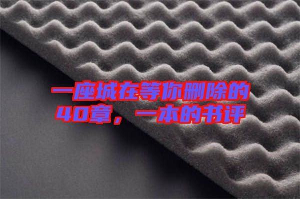 一座城在等你刪除的40章，一本的書評(píng)