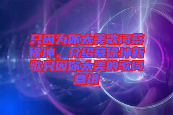只因為你太美歌詞蔡徐坤，介紹蔡徐坤新歌只因你太美的歌詞意境
