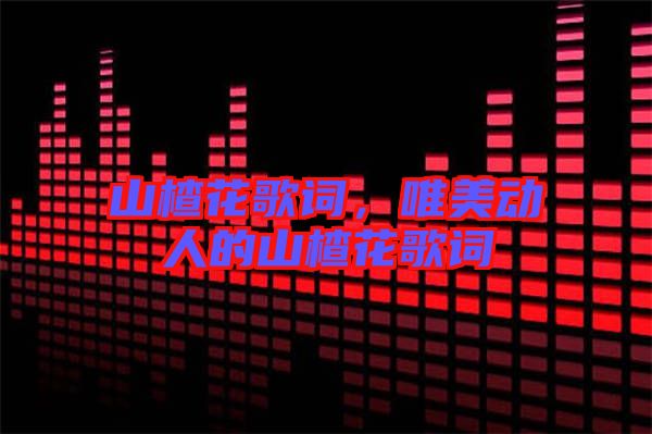 山楂花歌詞，唯美動(dòng)人的山楂花歌詞